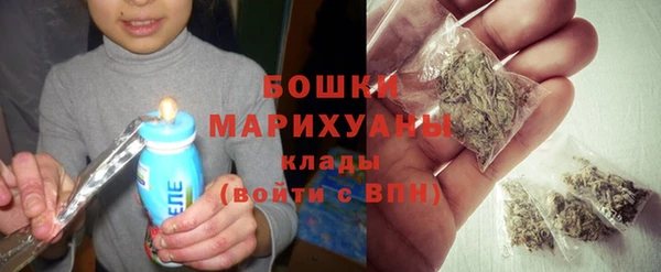 индика Каменногорск