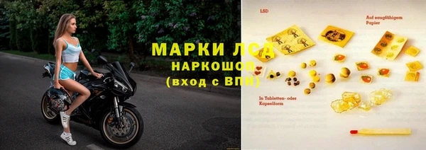 индика Каменногорск