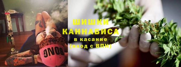 spice Каменка