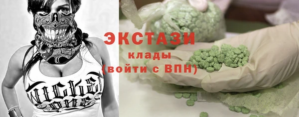 индика Каменногорск