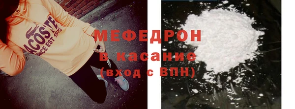 индика Каменногорск