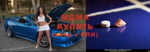 индика Каменногорск