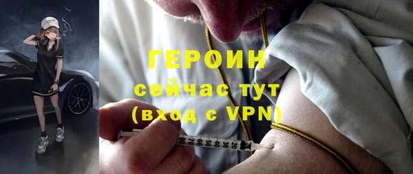 индика Каменногорск