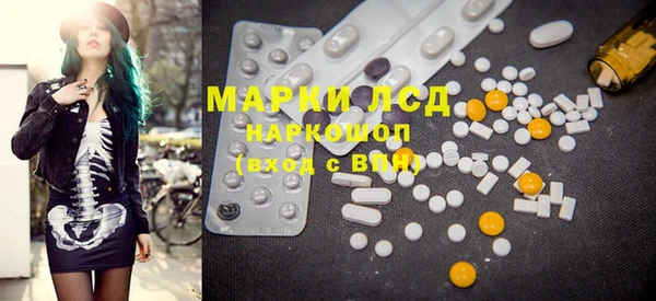 индика Каменногорск