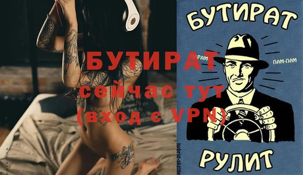 индика Каменногорск