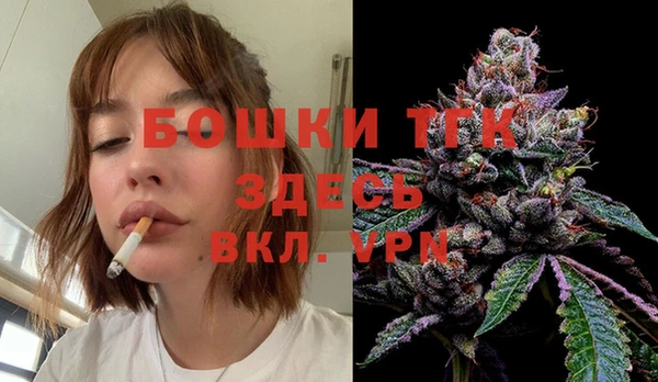 spice Каменка