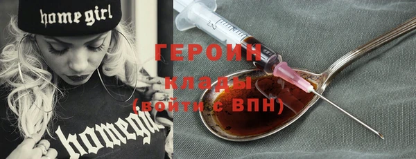 индика Каменногорск