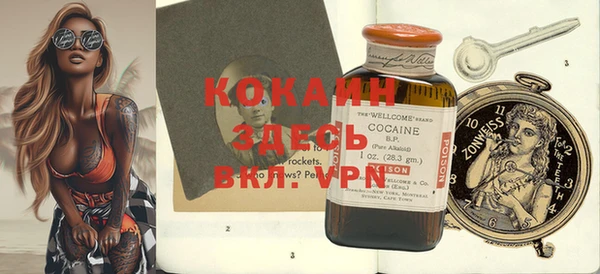 индика Каменногорск