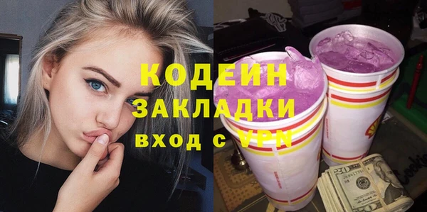 индика Каменногорск