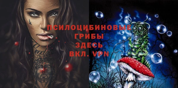 индика Каменногорск