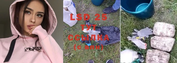 индика Каменногорск