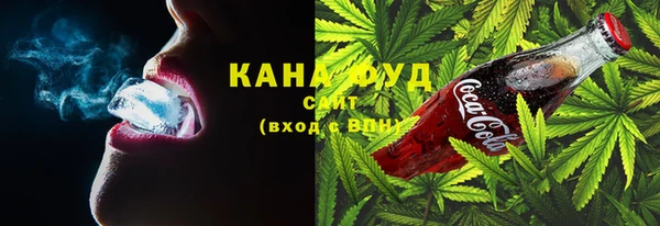 индика Каменногорск
